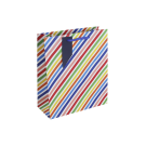 Euro Wrap Colourful Striped Medium Gift Bag