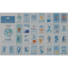 BABY MILESTONE CARD BOY