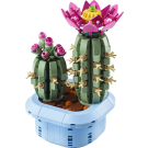 Botanicals Flowering Cactus Plants Decor 11509