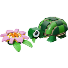 Turtle with a Water Lily Flower