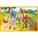 Puzzles 2x24 Day in the garden