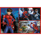 Puzzles - "2x70" - Spider stories