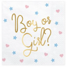 NAPKINS - BOY OR GIRL 20PCS