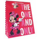 Assorted Large Character Gift Bags