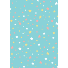 Assorted Extra Wide Gift Wrap
