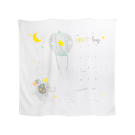 Milestone Blanket- Friendly Elephant