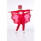 PJ Mask Owlette Dress Up 3 To 4 Years
