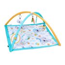 Bounce Activity Gym - Koala