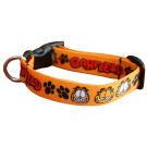 Webbing Cat Collar