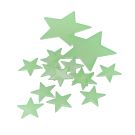 Reggies Glow In The Dark Stars