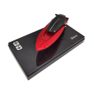 Mini RC Speedboat