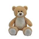 Reggies Hugging Bear Eco Friendly 100cm