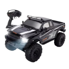 RC Leading 1 in 10 Scale 4WD RC Climbing Beast 