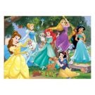  Princesses 100pc