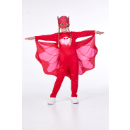 PJ Mask Owlette Dress Up 3 To 4 Years