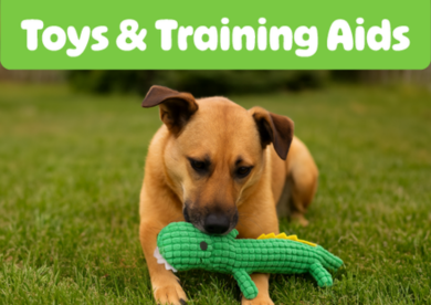 Pet Toys
