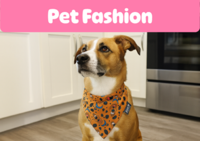 Pet fashion