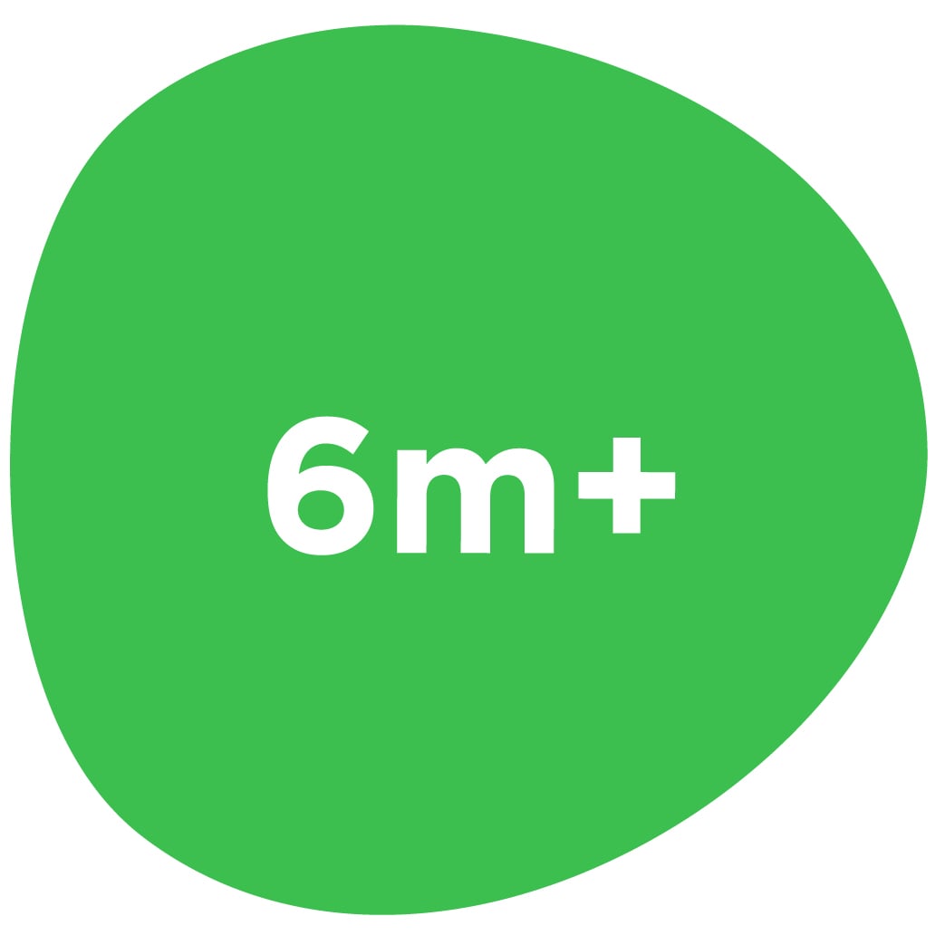 Leap Frog 6m 