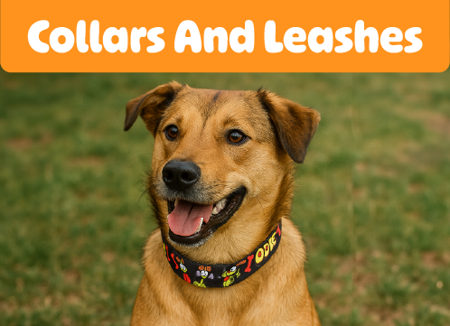 Collars and Leashes