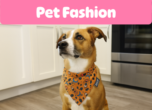 Pet fashion