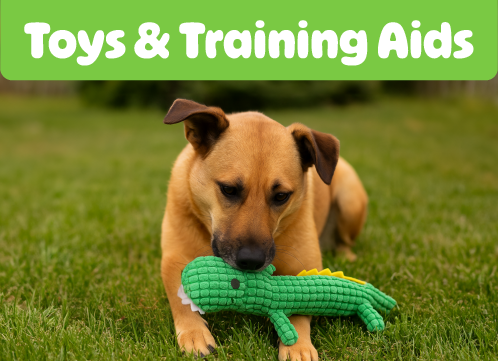 Pet Toys