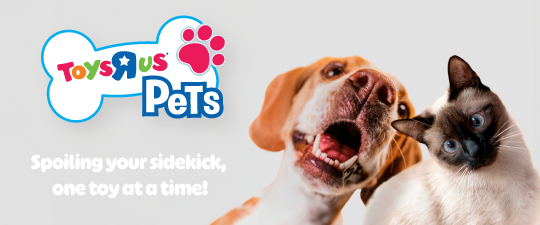 Shop all Pets
